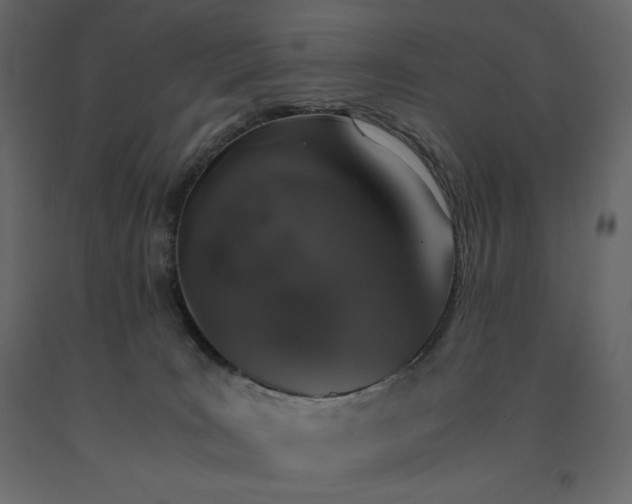 X0000091550035200708241804