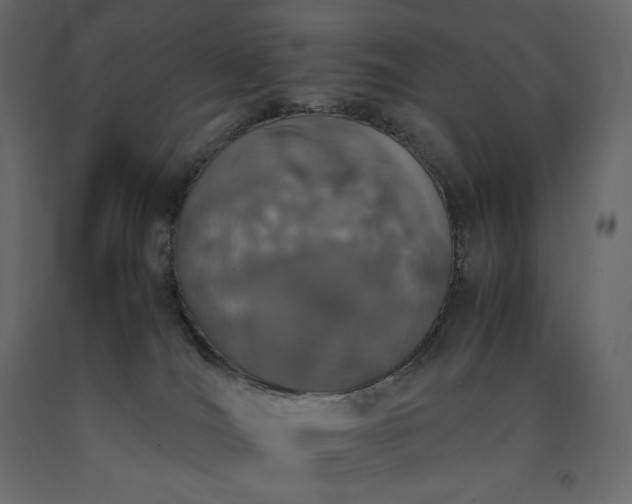 X0000091550036200708241804