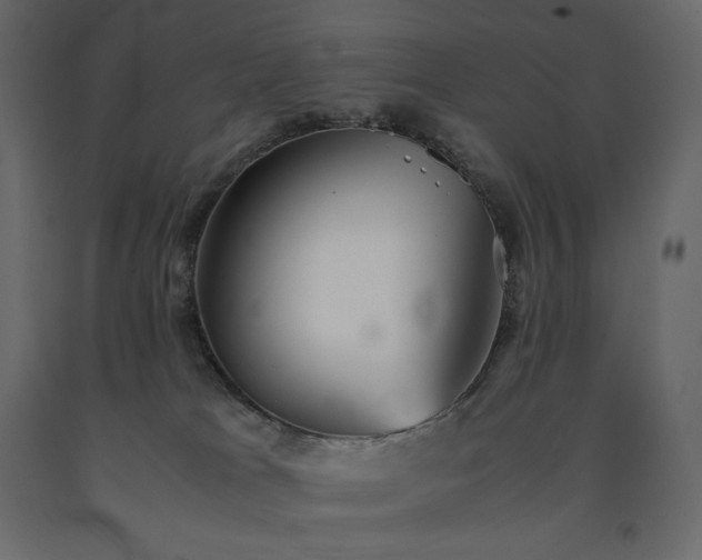 X0000091550037200708241804