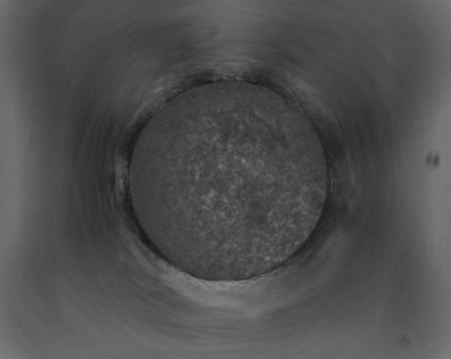 X0000091550038200708241804