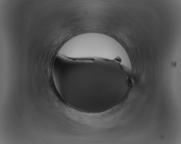 X0000091550039200708241804