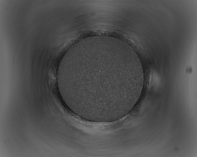X0000091550040200708241804