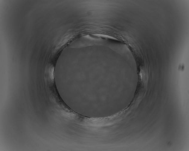X0000091550041200708241804
