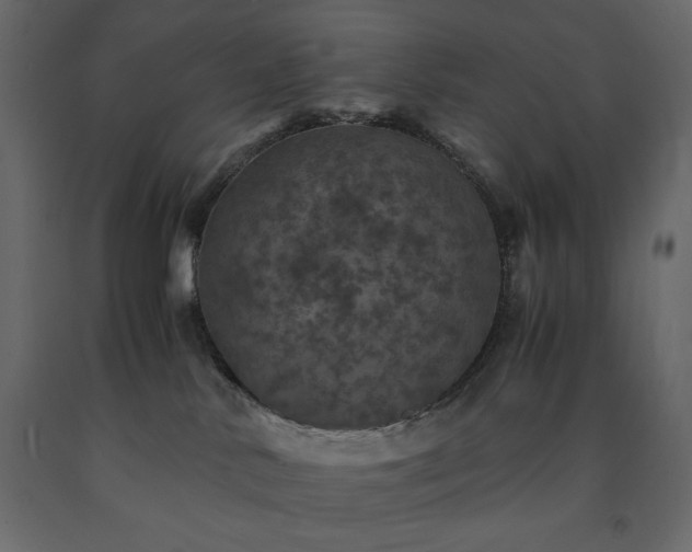 X0000091550042200708241804