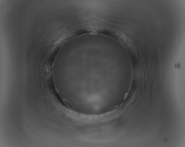 X0000091550043200708241804