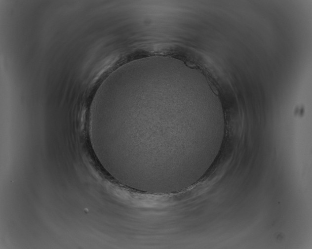 X0000091550044200708241804