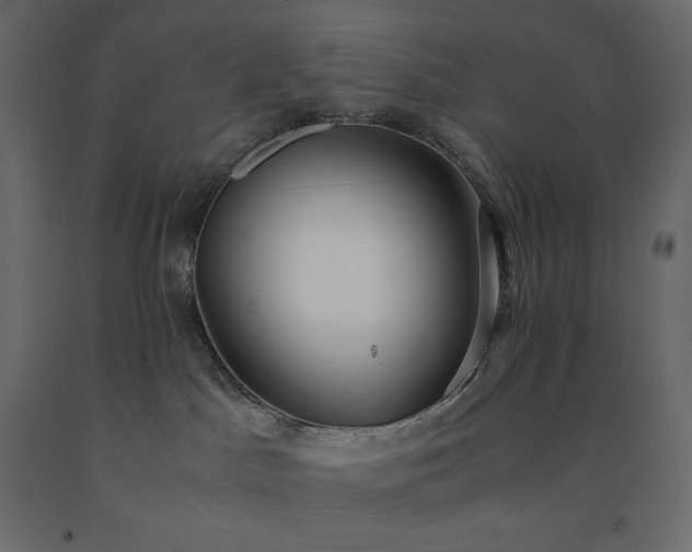 X0000091550045200708241804