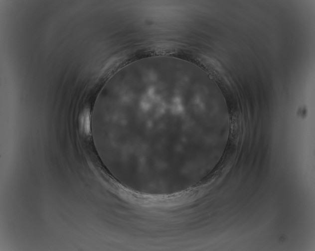 X0000091550046200708241804