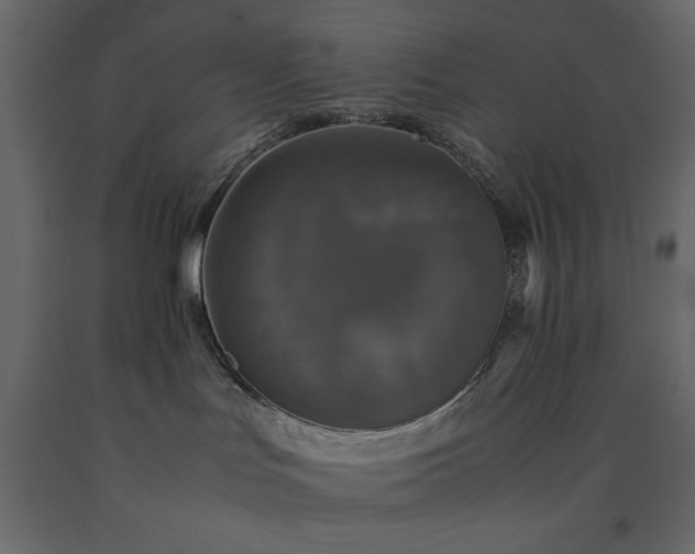 X0000091550047200708241804