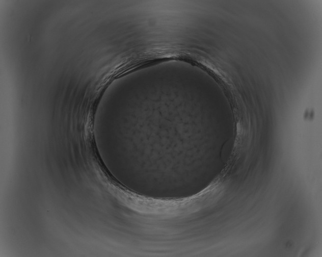 X0000091550048200708241804