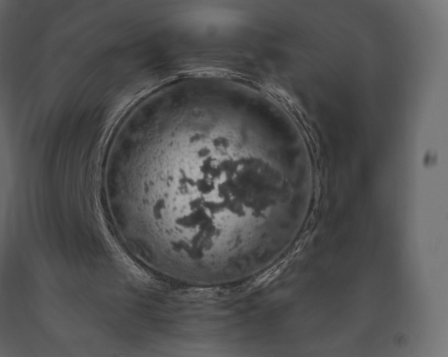 X0000091550049200708241803