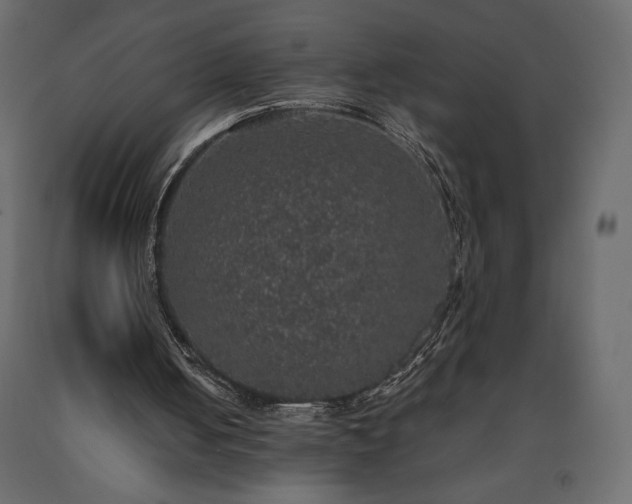X0000091550050200708241803