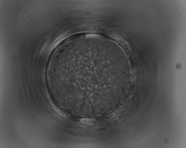 X0000091550051200708241804