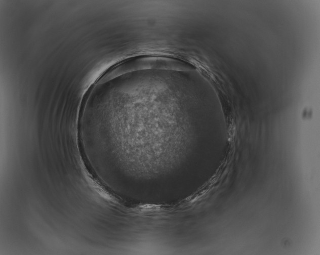 X0000091550052200708241804