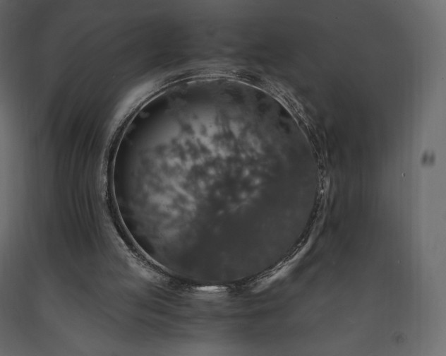 X0000091550053200708241804