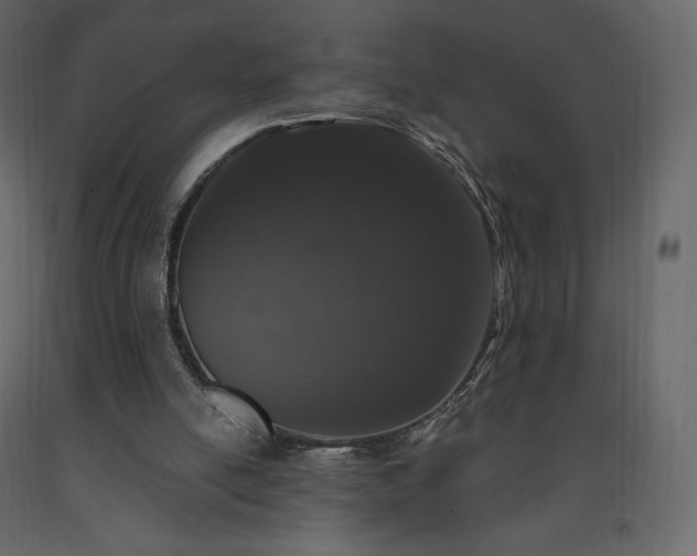 X0000091550054200708241804