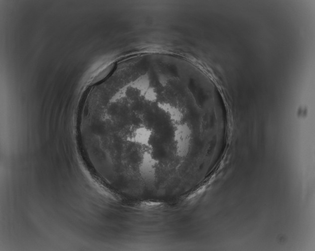 X0000091550055200708241804