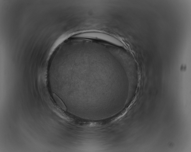 X0000091550056200708241804