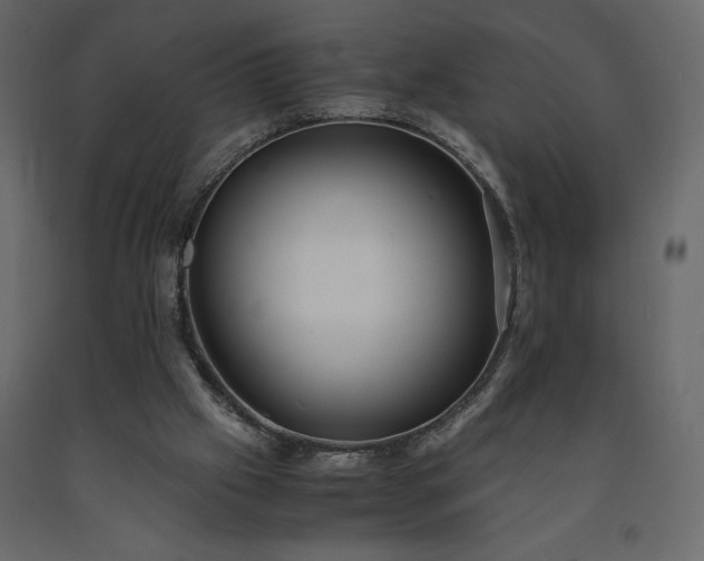 X0000091550057200708241804