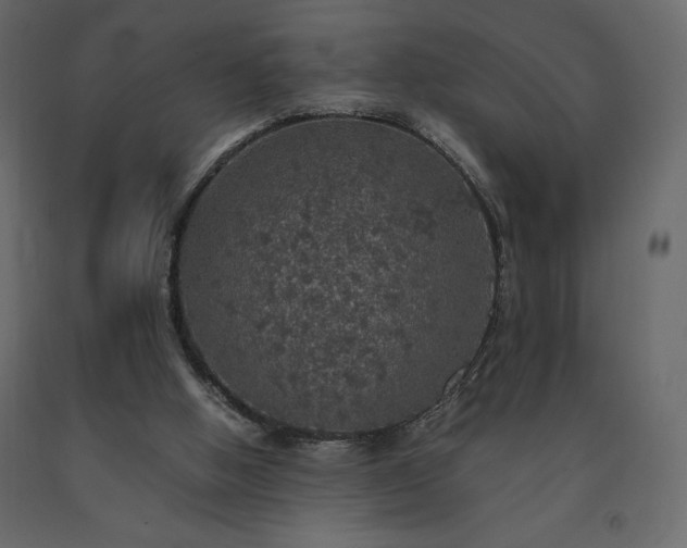 X0000091550058200708241804