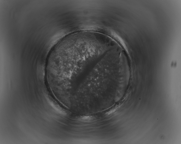 X0000091550059200708241804