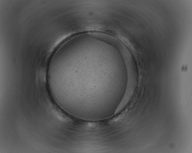 X0000091550060200708241804