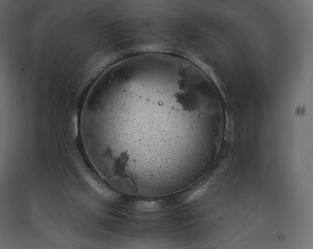 X0000091550061200708241804