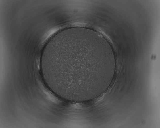 X0000091550062200708241804