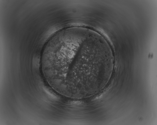 X0000091550063200708241804