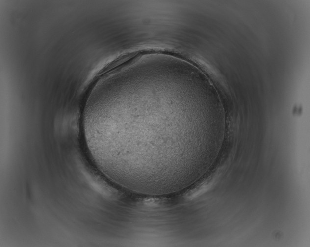 X0000091550064200708241804