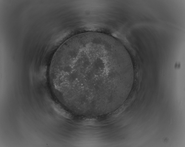 X0000091550066200708241804
