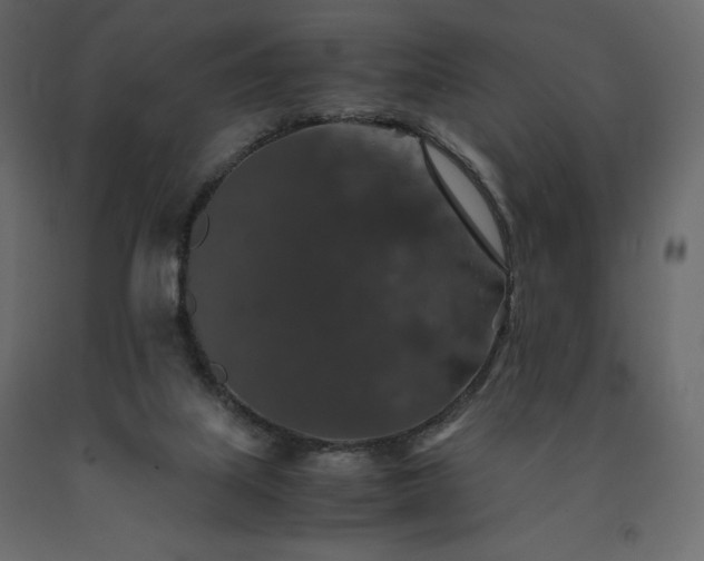 X0000091550067200708241804