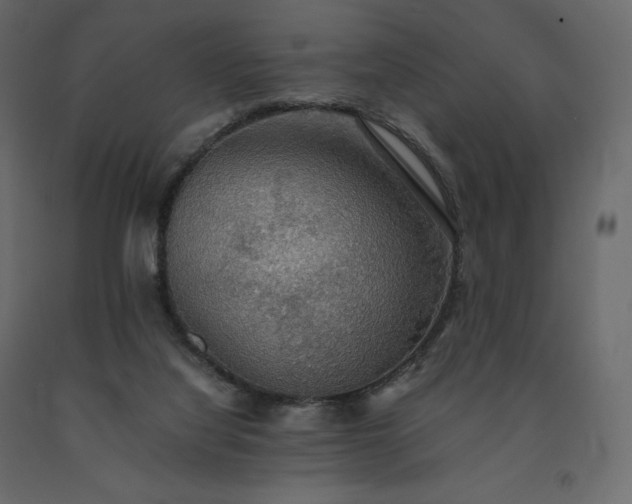 X0000091550068200708241804