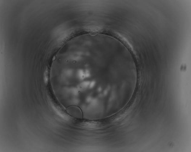 X0000091550069200708241804