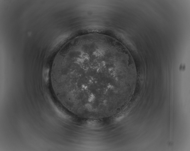 X0000091550070200708241804