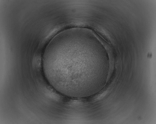 X0000091550072200708241804