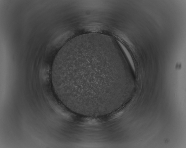 X0000091550073200708241804