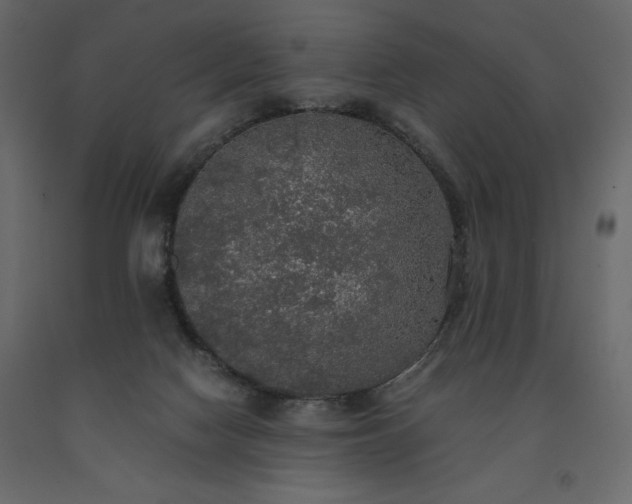 X0000091550074200708241804