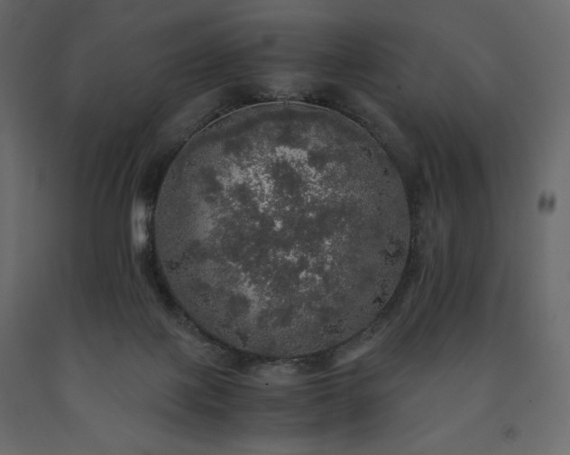 X0000091550075200708241804