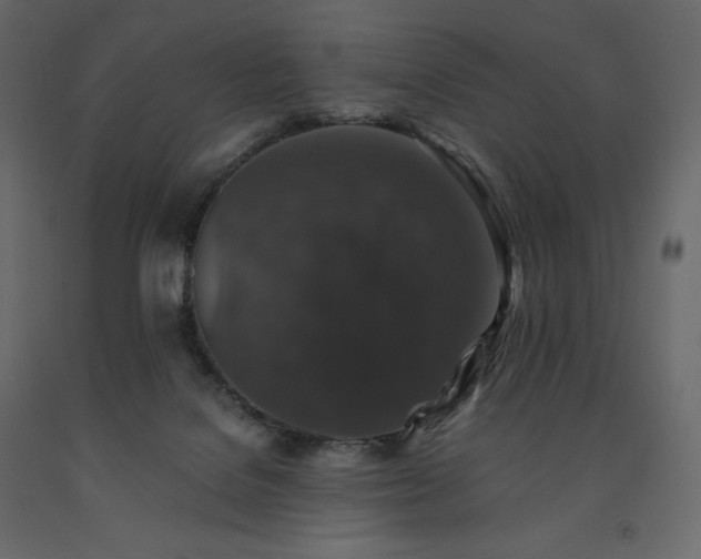 X0000091550076200708241804