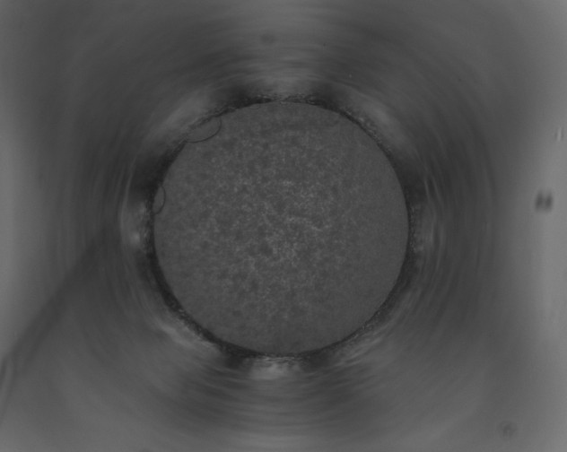 X0000091550077200708241804