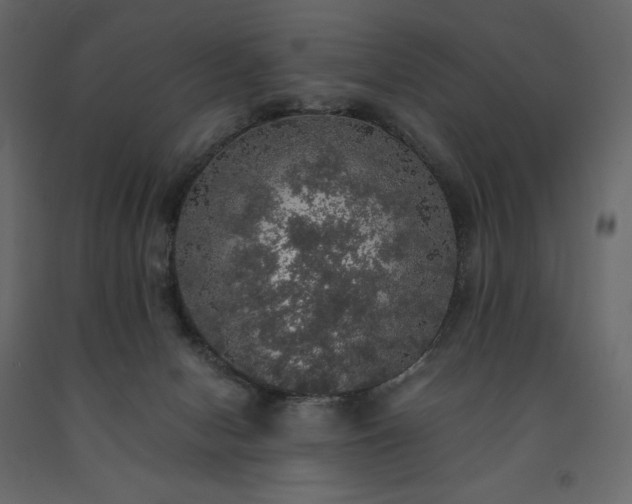 X0000091550078200708241804