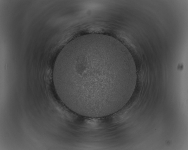 X0000091550079200708241804