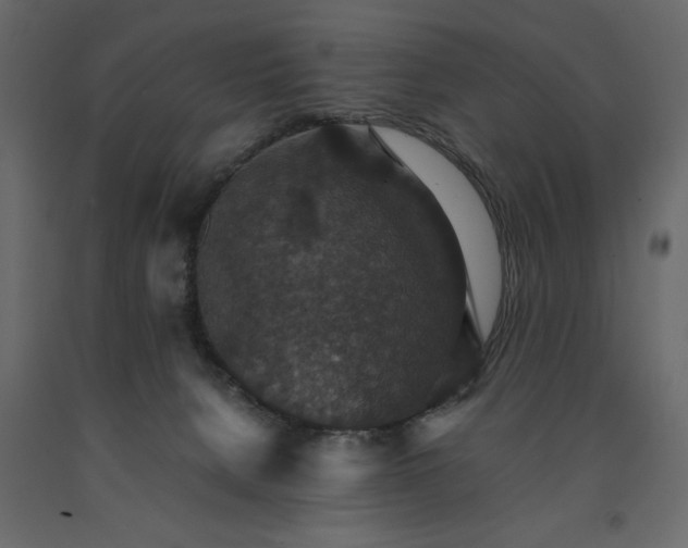X0000091550080200708241804