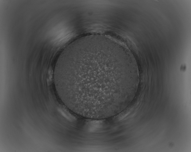 X0000091550081200708241804