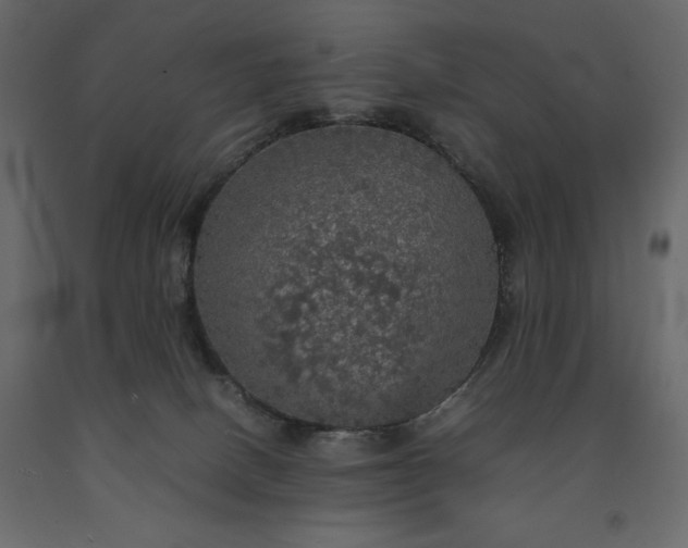 X0000091550082200708241804