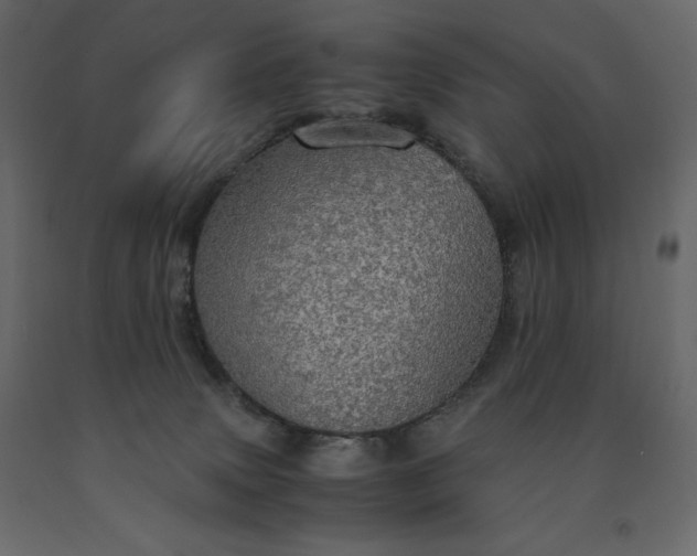 X0000091550083200708241804