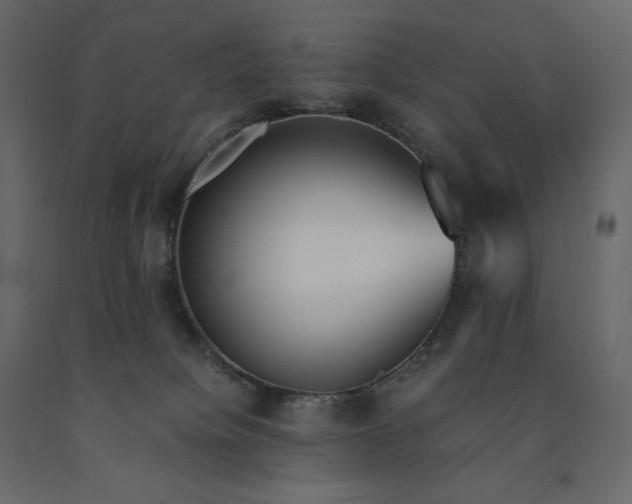 X0000091550084200708241804