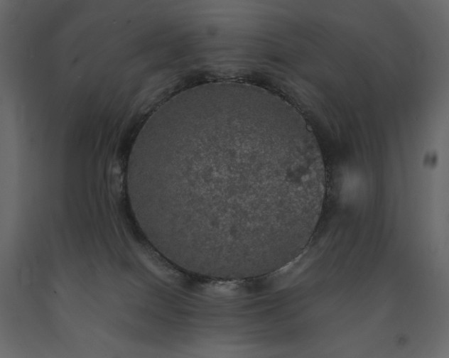 X0000091550086200708241804