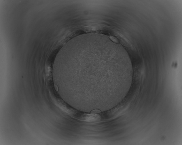 X0000091550087200708241804